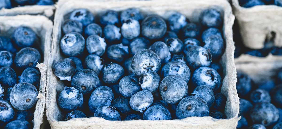 Autoimmune Nutrition, LLC